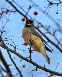 5D3_6832 PS3 fix crop - Copy.jpg