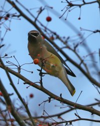 5D3_6833 ps3 fix - Copy.jpg