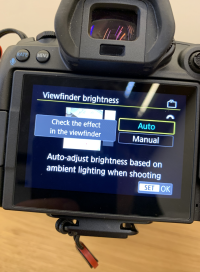 Screenshot 2020-11-19 at 13.56.12.png