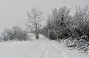 _DSF5959.jpg