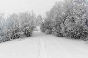 _DSF5955_DxO.jpg