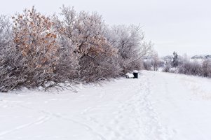 _36A2610.jpg