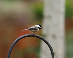 2020 november random-86.jpg