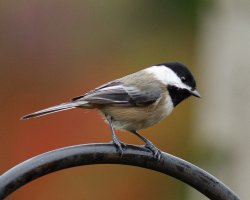 2020 november random-86-2.jpg