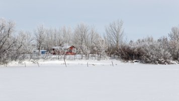_V2A0018_DxO.jpg