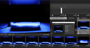 Screen Shot 2020-11-28 at 11.48.15 AM.png