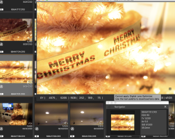 Screen Shot 2020-11-28 at 11.51.35 AM.png