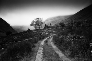 Dromluska III BWs.jpg