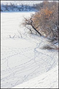 _V2A0125_DxO copy.jpg