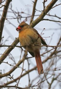 5D3_8512 picasa crop ps3 fix - Copy.jpg