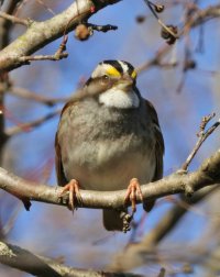 5D3_8621 crop and fix - Copy.jpg