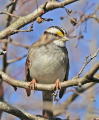 5D3_8656 crop and fix - Copy.jpg