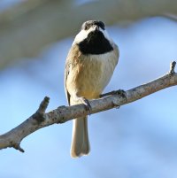 5D3_9066 ps3 fix 2 - Copy.jpg