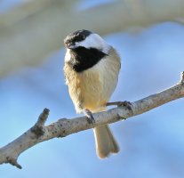 5D3_9071 fixes - Copy.jpg