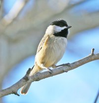 5D3_9076 fixes - Copy.jpg