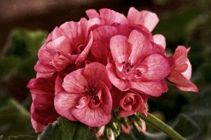 _MG_6452_DxO copy_Snapseed.jpg