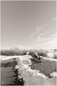 _V2A0153_DxO copy.jpg