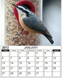 2013 calendar for cr.gif