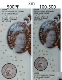 Collage_3m_ann copy.jpg