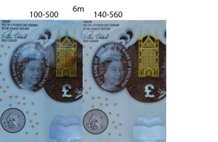 Collage_6m_ann copy.jpg