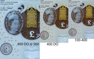 Collage_6m_ann copy 2.jpg