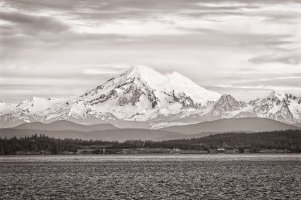 _36A0744_DxO copy.jpg