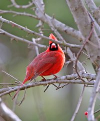 5D3_0131 picasa cro ps3 fix - Copy.jpg