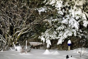 EMWL0165.jpg EMWL0165.jpg