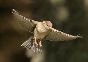 Final approach    w.jpg