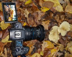 EOS R and Laowa 15mm.jpg