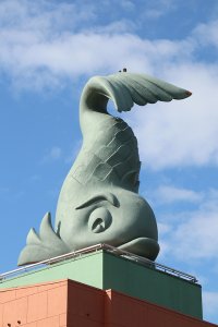 IMG_0583 resized cr - Copy.jpg