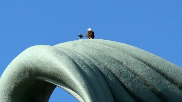 IMG_0714 ps3 fix cr - Copy (2).jpg