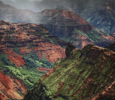 Screen Shot 2021-02-04 at 3.15.24 PM.png