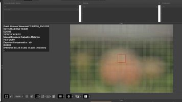 R6 with EF 500 IS ii and 1.4xiii ext.jpg