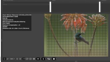 R6 EF 500IS ii and 1.4x .jpg