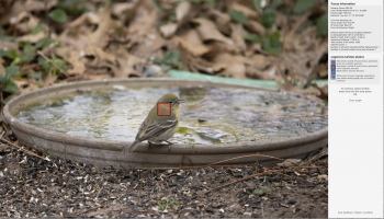 Four shots later the R5 finally finds the focus.png