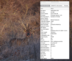 Screenshot 2021-02-27 at 22.34.28.png