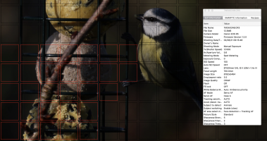 Screenshot 2021-02-28 at 23.41.00.png