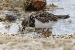 DSC_1795_DxO.jpg DSC_1795_DxO.jpg