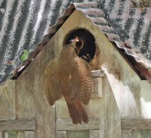 07 5D3_0809PS3fix1.jpg