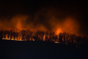 HES-HJ-031421-Franklin-Township-Mountain-Fire-11.jpg