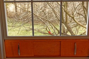 A03_1223_1_4k90%.jpg A03_1223_1_4k90%.jpg