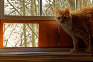 A03_1228_1_4k90%.jpg A03_1228_1_4k90%.jpg