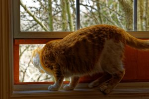 A03_1234_1_4k90%.jpg A03_1234_1_4k90%.jpg