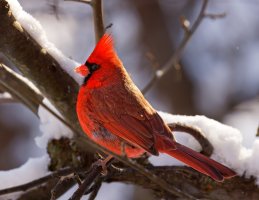 A01_8936_1_4k90%.jpg A01_8936_1_4k90%.jpg