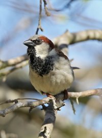 5D3_0884 ps3 fix and crop - Copy.jpg