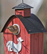 5D3_0974 ps3 fix 2 crop - Copy.jpg