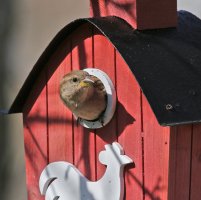 5D3_0976 ps3 fix crop - Copy.jpg