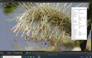 Capture d’écran (1).png