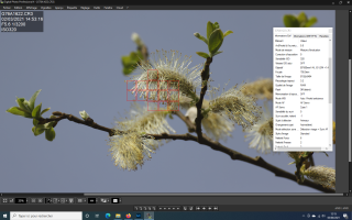 Capture d’écran (2).png